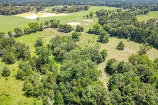 16713 Crk Btm Ct, Winona, TX 75792 - Photo 5