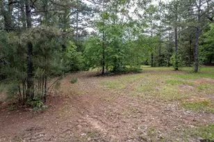 19314 State Hwy 155 S, Flint, TX 75762 - Photo 25