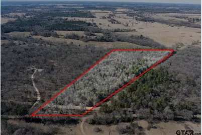 Tbd County Road 4246, Pittsburg, TX 75686 - Photo 3
