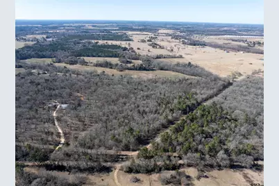 Tbd County Road 4246, Pittsburg, TX 75686 - Photo 5