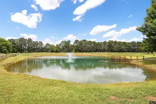 21184 County Rd 2162, Troup, TX 75789 - Photo 43