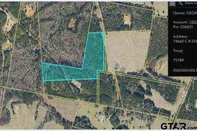18660 Cr 259, Troup, TX 75789 - Photo 3