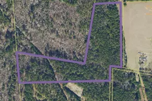 18660 Cr 259, Troup, TX 75789 - Photo 1