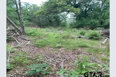 000 Cr 1113, Tyler, TX 75703 - Photo 3