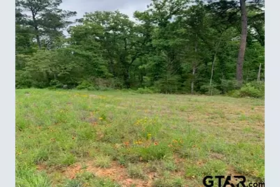 000 Cr 1113, Tyler, TX 75703 - Photo 15