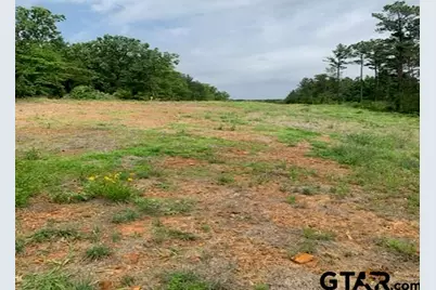 000 Cr 1113, Tyler, TX 75703 - Photo 17