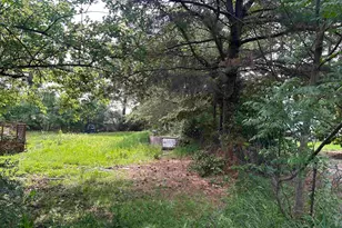 141 Pr 6252, Mineola, TX 75773 - Photo 17