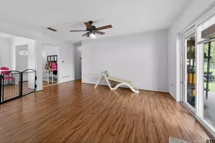 250 Molly Ln, Mineola, TX 75773 - Photo 17