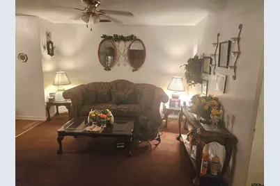 318 Milligan Dr, Pittsburg, TX 75686 - Photo 17