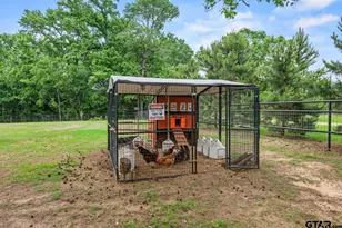 536 Co Rd 2373, Alba, TX 75410 - Photo 17