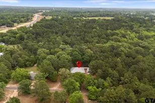 16736 County Rd 4199, Lindale, TX 75771 - Photo 43