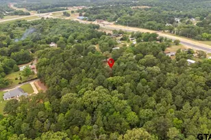 16736 County Rd 4199, Lindale, TX 75771 - Photo 45