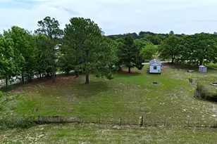 188 Pvt Rd 8703, Ben Wheeler, TX 75754 - Photo 9