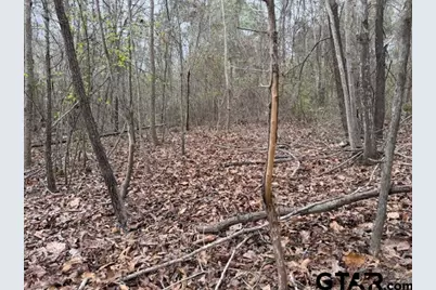 000B County Road 240, Tyler, TX 75705 - Photo 3