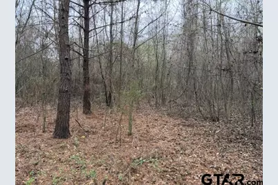000B County Road 240, Tyler, TX 75705 - Photo 9