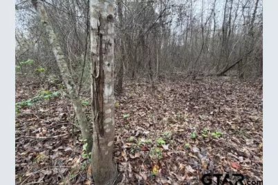 000B County Road 240, Tyler, TX 75705 - Photo 7