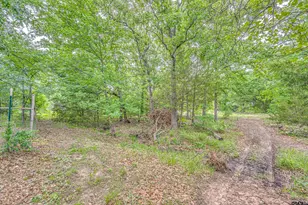 1478 Shawnee, Quinlan, TX 75474 - Photo 35