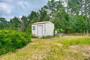 1054 An County Road 415, Palestine, TX 75801 - Photo 27
