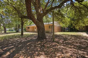 601 Ravenwood Dr, Athens, TX 75751 - Photo 3