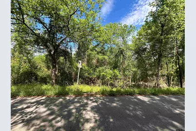 13904 County Road 1250, Tyler, TX 75709 - Photo 1