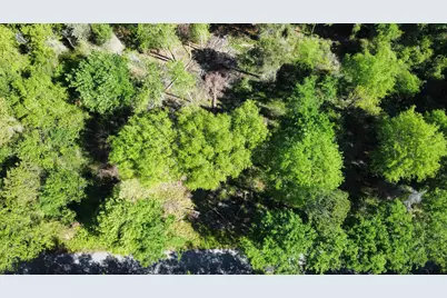 13912 Country Road 1250, Tyler, TX 75709 - Photo 3