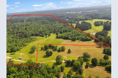 67 Acres S Live Oak Rd, Gilmer, TX 75644 - Photo 5