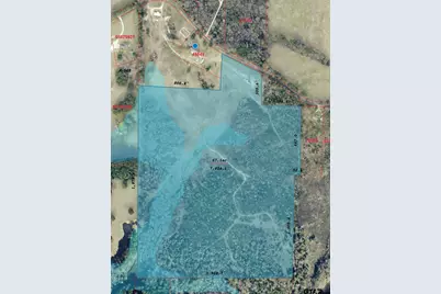 67 Acres S Live Oak Rd, Gilmer, TX 75644 - Photo 7