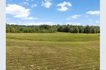 67 Acres S Live Oak Rd, Gilmer, TX 75644 - Photo 3