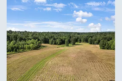 67 Acres S Live Oak Rd, Gilmer, TX 75644 - Photo 15