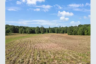 67 Acres S Live Oak Rd, Gilmer, TX 75644 - Photo 9
