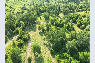 67 Acres S Live Oak Rd, Gilmer, TX 75644 - Photo 17