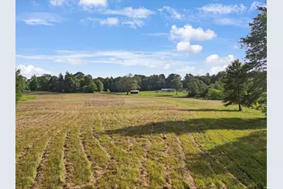 67 Acres S Live Oak Rd, Gilmer, TX 75644 - Photo 11