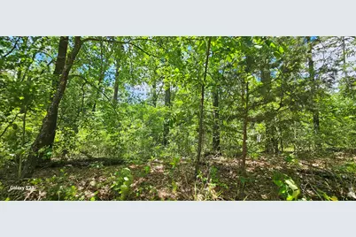 Tbd Cr 2290, Mineola, TX 75773 - Photo 3
