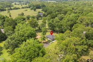 19025 County Rd 484, Mineola, TX 75773 - Photo 27