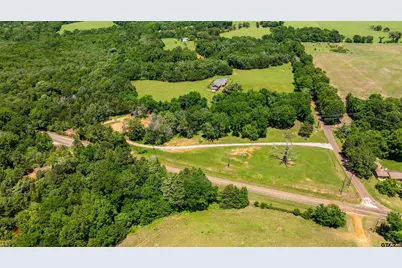 155 An County Road 463, Montalba, TX 75853 - Photo 15