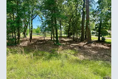 000 Lovely Ln, Chandler, TX 75758 - Photo 3