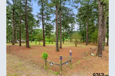 541 Cr 2745 (Tbd), Mineola, TX 75773 - Photo 5