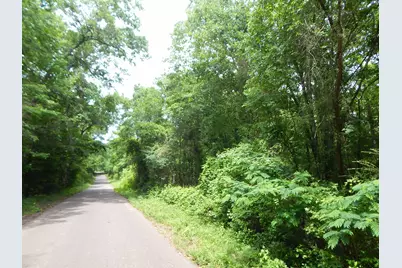 Tbd 15 Acres Locust Rd, Gilmer, TX 75645 - Photo 5