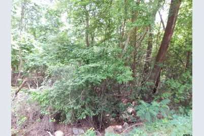 Tbd 15 Acres Locust Rd, Gilmer, TX 75645 - Photo 3