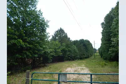 Tbd 15 Acres Locust Rd, Gilmer, TX 75645 - Photo 7