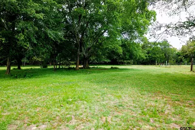 6100 Fm 314, Ben Wheeler, TX 75754 - Photo 15