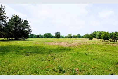 6100 Fm 314, Ben Wheeler, TX 75754 - Photo 29