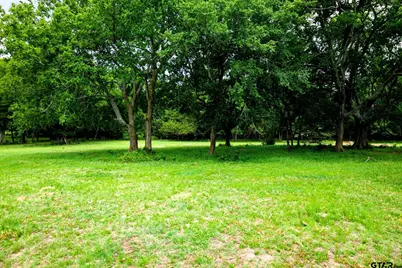 6100 Fm 314, Ben Wheeler, TX 75754 - Photo 17
