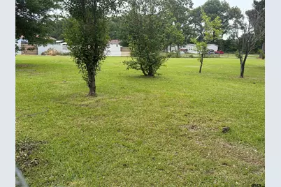 Tbd Cutter Drive, Frankston, TX 75763 - Photo 1
