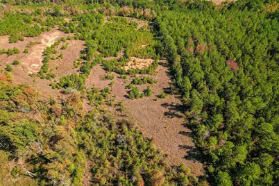 21.34 Ac W Fm 1910, Jacksonville, TX 75766 - Photo 15