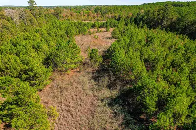 21.34 Ac W Fm 1910, Jacksonville, TX 75766 - Photo 9