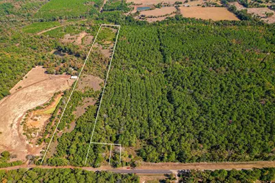 21.34 Ac W Fm 1910, Jacksonville, TX 75766 - Photo 3