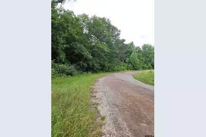 18095 Cr 352, Winona, TX 75792 - Photo 5