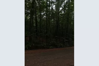 18095 Cr 352, Winona, TX 75792 - Photo 13