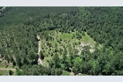 9490 S State Highway 19, Lovelady, TX 75851 - Photo 5